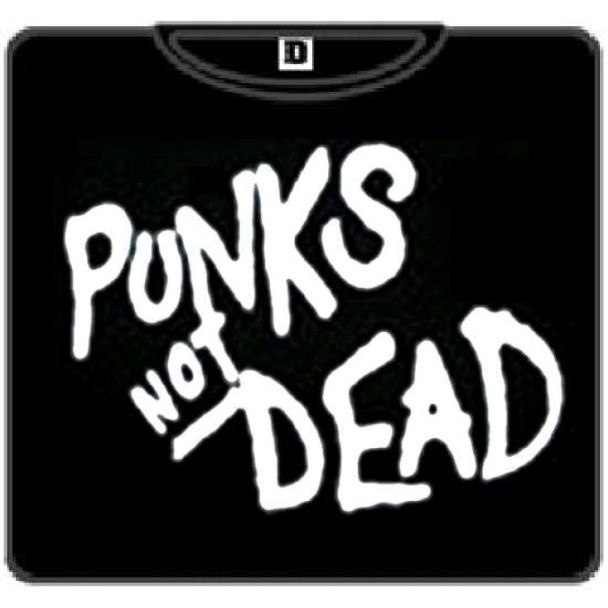 PUNKS NOT DEAD 100