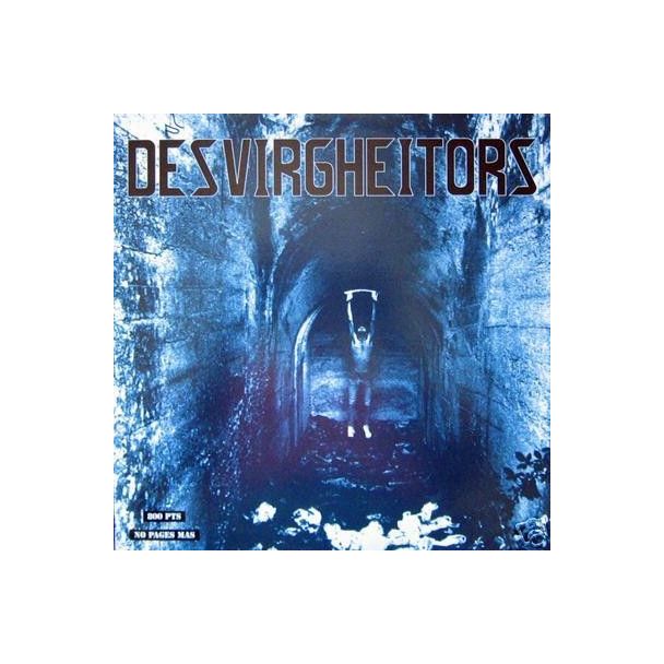 DESVIRGHEITORS LP